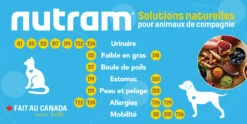 Nourriture Pour Chatons Au Poulet Et Saumon - Nutram Sound S1 -Animobouffe Magasin 2022 affiche solutionssign nutram francais optimize