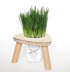 Station Demi-Portion Pour Chats - Herbachat