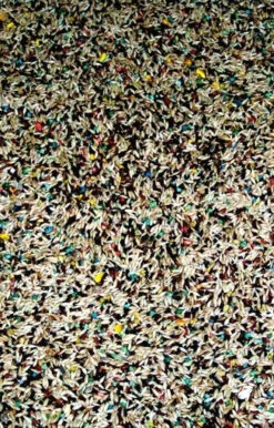 Nourriture Pour Serins VITOMAX - Zoomax 2 Nourriture Pour Serins VITOMAX - Zoomax -Animobouffe Magasin 82240 3 optimize