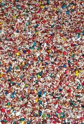 Nourriture pour Colombe/Tourterelle VITOMAX - Zoomax Nourriture Pour Colombe/Tourterelle VITOMAX - Zoomax -Animobouffe Magasin 82270 3 optimize