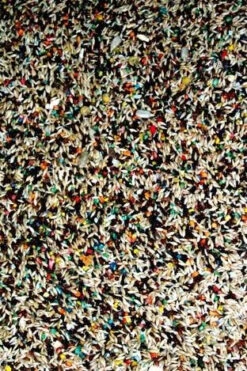 Nourriture Pour Serins FRUITOMAX - Zoomax 2 Nourriture Pour Serins FRUITOMAX - Zoomax -Animobouffe Magasin 82340 3 optimize