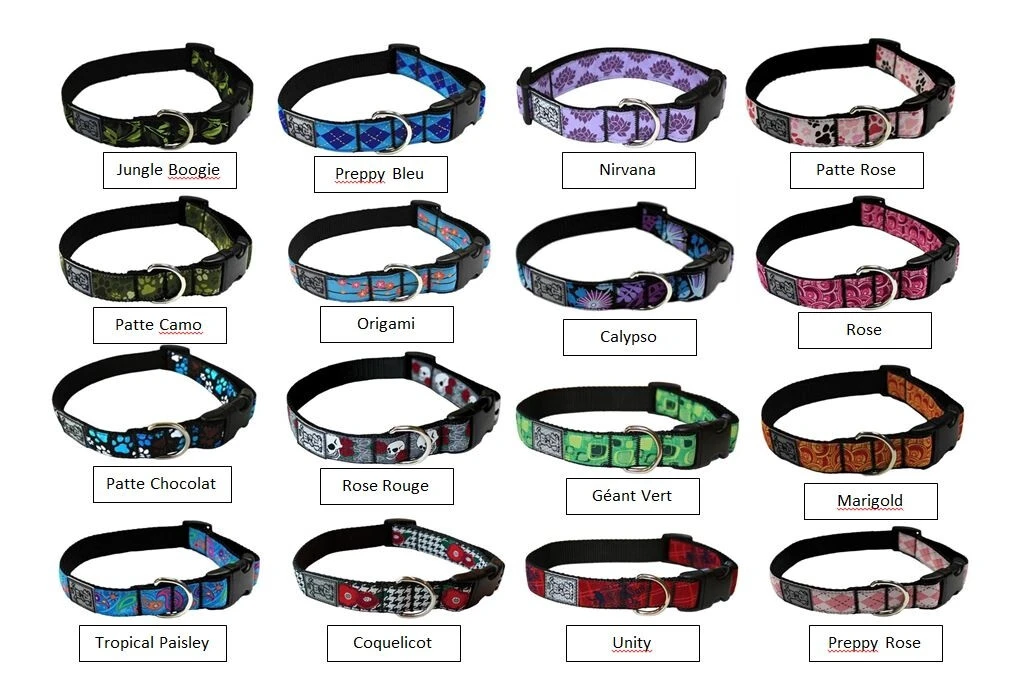 Collier de Nylon Ajustable avec Motifs Paisley Turquoise pour Animaux - Rc Pets Collier De Nylon Ajustable Avec Motifs Paisley Turquoise Pour Animaux - Rc Pets -Animobouffe Magasin D829554 2 optimize