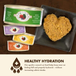 Nourriture En Boîte Pour Chats Poulet Et Canard - Fromm Four-Star 2 Nourriture En Boîte Pour Chats Poulet Et Canard - Fromm Four-Star -Animobouffe Magasin Fr850 3 optimize