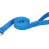 Laisse De Nylon Bleu Pâle Pour Chien - Hunter Brand