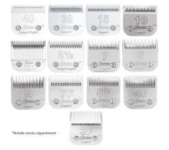 Lame De Rasoir Oster