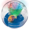 Aquarium Lumineux Bat-a-bout Pour Chats - Kong