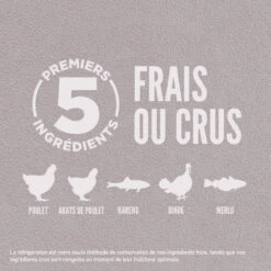 Nourriture Sans Grains Pour Chats Fit & Trim - ORIJEN 3 Nourriture Sans Grains Pour Chats Fit & Trim - ORIJEN -Animobouffe Magasin ORIJEN Fit 26 Trim Cat Key Feature Canada French optimize