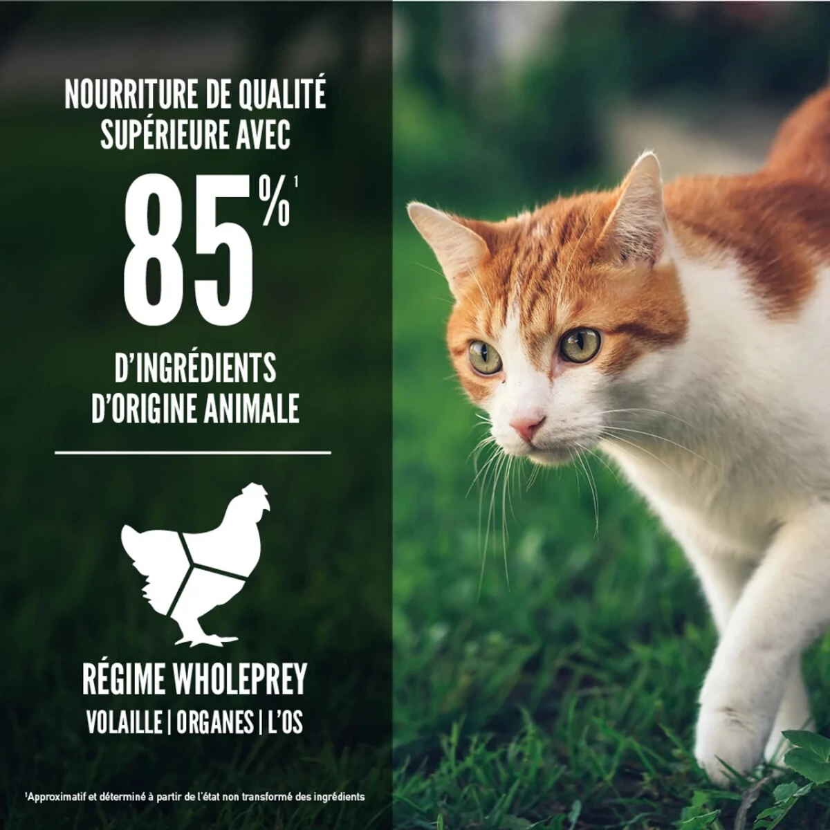 Nourriture sans grains pour chats Fit & Trim - ORIJEN Nourriture Sans Grains Pour Chats Fit & Trim - ORIJEN -Animobouffe Magasin ORIJEN Fit 26 Trim Cat Percentages Image Canada French optimize