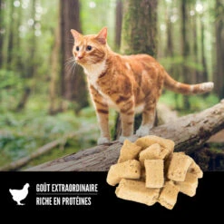 Gâterie Lyophilisé Recette Originales Pour Chats - ORIJEN -Animobouffe Magasin ORIJEN Freeze Dried Original Cat Treat Shape Canada French optimize