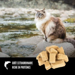 Gâterie Lyophilisé Six Fish Pour Chats - ORIJEN 2 Gâterie Lyophilisé Six Fish Pour Chats - ORIJEN -Animobouffe Magasin ORIJEN Freeze Dried Six Fish Cat Treat Shape Canada French optimize