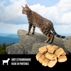 Gâterie Lyophilisé Recette Toundra Pour Chats - ORIJEN -Animobouffe Magasin ORIJEN Freeze Dried Tundra Cat Treat Shape Canada French optimize