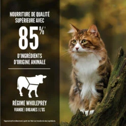 Nourriture Sans Grains Pour Chats Regional Red - ORIJEN -Animobouffe Magasin ORIJEN Regional Red Cat Percentages Image Canada French optimize