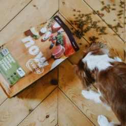 Nourriture Pour Chiens Petites Races Séniors Sans Grains - Now Fresh -Animobouffe Magasin Pc1036 4 optimize