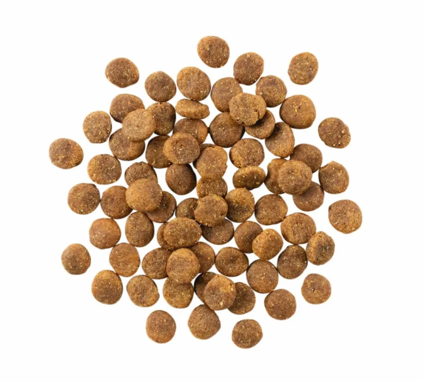 Nourriture sans grains au saumon à ingrédients limités pour chiens - Go ! Sensitivities Nourriture Sans Grains Au Saumon à Ingrédients Limités Pour Chiens - Go ! Sensitivities -Animobouffe Magasin Pc2131 2 optimize