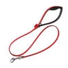 Laisse Pour Chien 48'' Bond Pet - Rouge