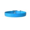 Collier Pour Chien En Thermoplastique Bond Pet - Bleu