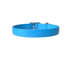 Collier Pour Chien En Thermoplastique Bond Pet - Bleu