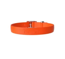 Collier Pour Chien En Thermoplastique Bond Pet - Tangerine