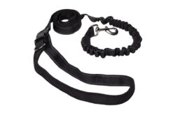 Laisse Du Coureur Pour Chiens – Büd’z