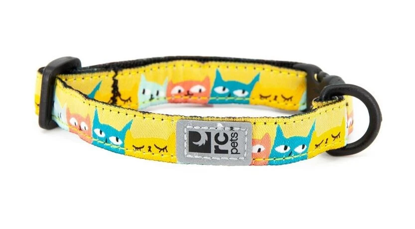 Collier pour Chat à Motifs Cat-Titude - Rc Pets Collier Pour Chat à Motifs Cat-Titude - Rc Pets -Animobouffe Magasin c00519 optimize