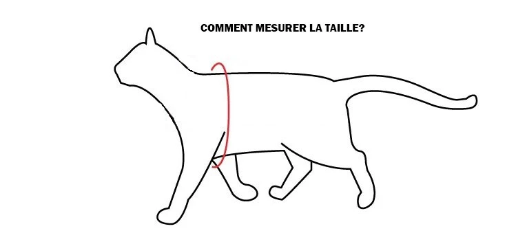 Harnais de Nylon Ajustable pour Chat Hunter Brand - Bleu Harnais De Nylon Ajustable Pour Chat Hunter Brand - Bleu -Animobouffe Magasin chat taille harnais optimize 1