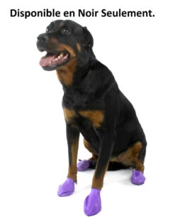 Bottes Noires Pour Chien - Pawz -Animobouffe Magasin d3071 3 optimize