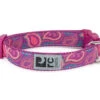 Collier En Nylon Ajustable Pour Chien à Motif Bright Paisley - Rc Pets