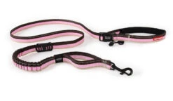 Laisse Du Coureur Pour Chiens Candy - EzyDog