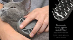 Trousse De Toilettage Pour Chats à Poils Courts - Catit 3 Trousse De Toilettage Pour Chats à Poils Courts - Catit -Animobouffe Magasin hg40000 5 optimize