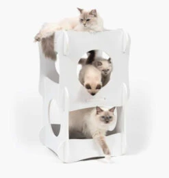 Meuble En Bois Condo Blanc - Vesper