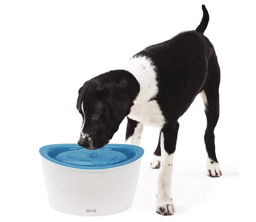 Abreuvoir pour Animaux Zeus H2EAU 6L - Dogit Abreuvoir Pour Animaux Zeus H2EAU 6L - Dogit -Animobouffe Magasin hg91400 1 optimize