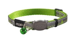 Collier Chats Night Oiseaux Vert Limette 8-12" Fermoir De Plastique - Rogz