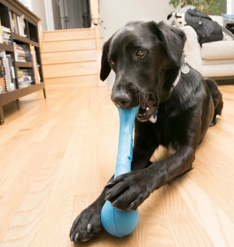 Bâton SqueakStix pour Chiens - Kong Bâton SqueakStix Pour Chiens - Kong -Animobouffe Magasin kg2806 2 optimize