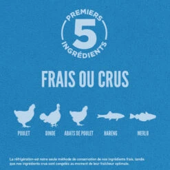 Nourriture Sans Grains Pour Chiens Adultes Originale - ORIJEN 2 Nourriture Sans Grains Pour Chiens Adultes Originale - ORIJEN -Animobouffe Magasin orijen original dog first 5 canada french optimize