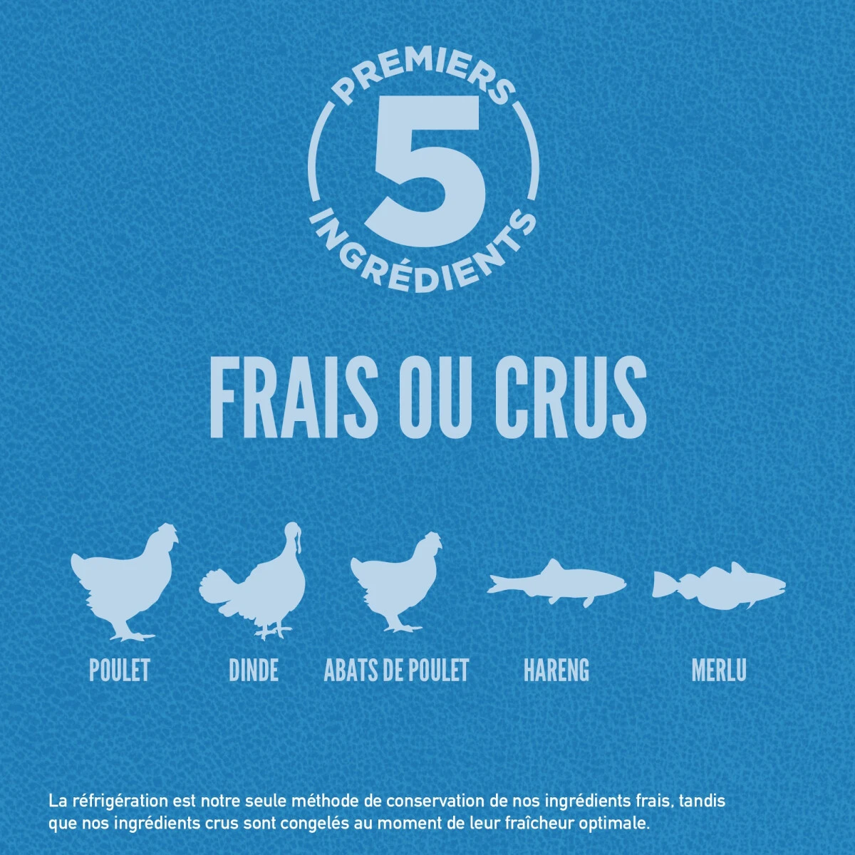 Nourriture sans grains pour chiens adultes originale - ORIJEN Nourriture Sans Grains Pour Chiens Adultes Originale - ORIJEN -Animobouffe Magasin orijen original dog first 5 canada french optimize