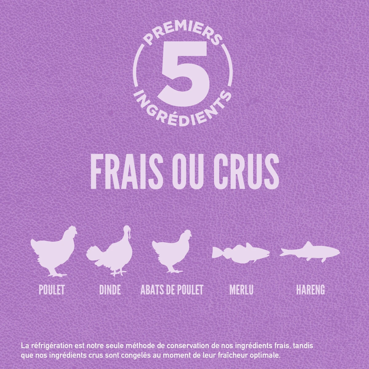 Nourriture sans grains chiot grande race - ORIJEN Nourriture Sans Grains Chiot Grande Race - ORIJEN -Animobouffe Magasin orijen puppy large first 5 canada french optimize