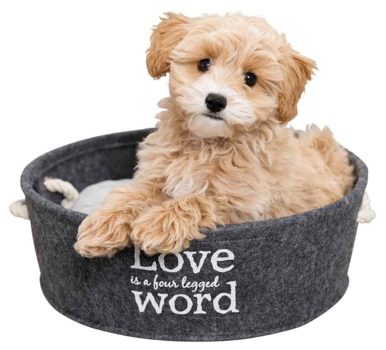 Panier Lian avec Écriture “ Love is a four legged word” pour Animaux - Trixie Panier Lian Avec Écriture “ Love Is A Four Legged Word” Pour Animaux - Trixie -Animobouffe Magasin tr1010 4 optimize