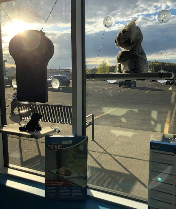 Lit pour fenêtre avec ventouses pour chats - Trixie Lit Pour Fenêtre Avec Ventouses Pour Chats - Trixie -Animobouffe Magasin tr1088 5 optimize