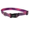 Collier De Nylon Rose Pour Chiens - Lazer Brite