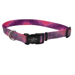 Collier De Nylon Rose Pour Chiens - Lazer Brite
