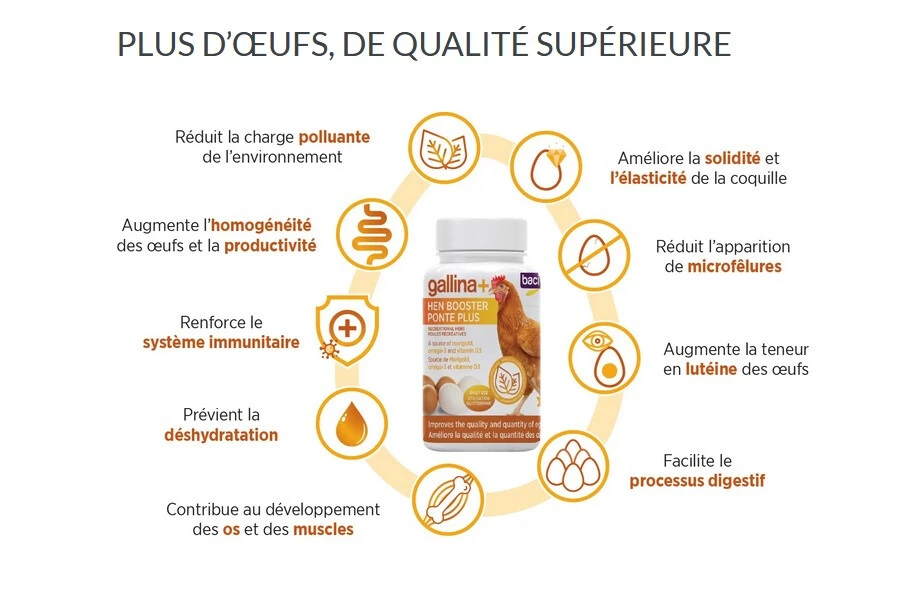 Supplément Ponte Plus Galinna+ pour Poules - Baci+ Supplément Ponte Plus Galinna+ Pour Poules - Baci+ -Animobouffe Magasin y29040 2 optimize