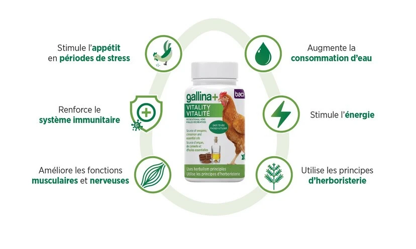 Supplément Vitalité Gallina+ pour Poules - Baci+ Supplément Vitalité Gallina+ Pour Poules - Baci+ -Animobouffe Magasin y29041 2 optimize