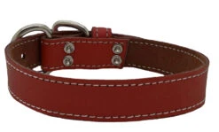 Collier Rouge En Cuir Simple Pour Animaux - Arizona