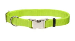 Collier Ajustable Vert Lime Avec Boucle De Métal - Titan